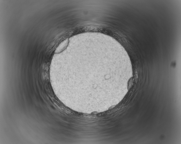 X0000114550964200911301221
