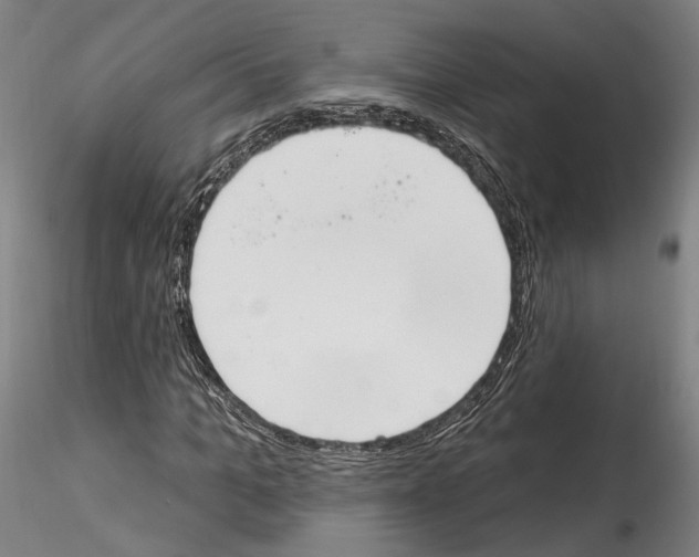 X0000114550965200911301221