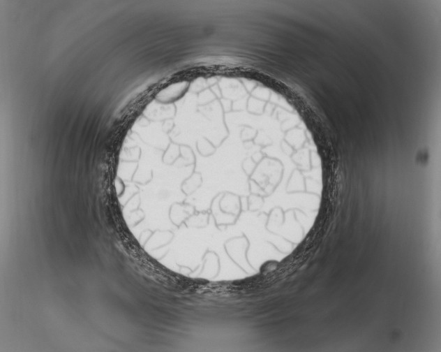 X0000114550967200911301221