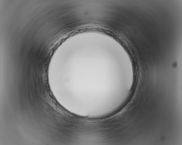 X0000114550969200911301221