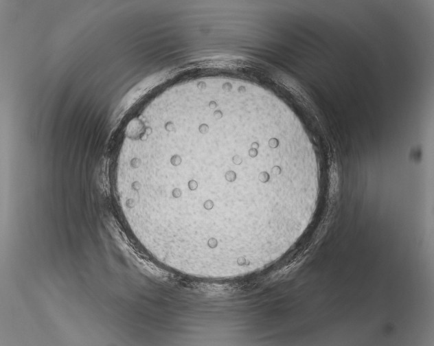 X0000114550970200911301221
