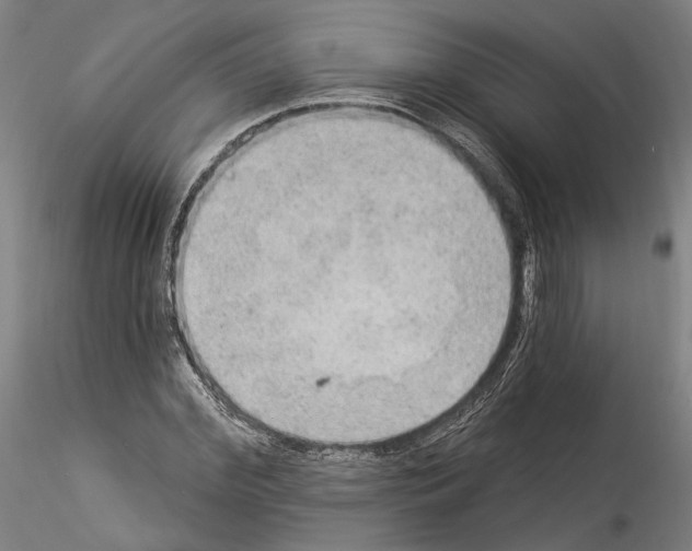 X0000114550972200911301221
