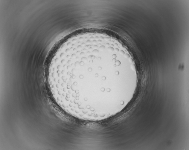 X0000114550974200911301221