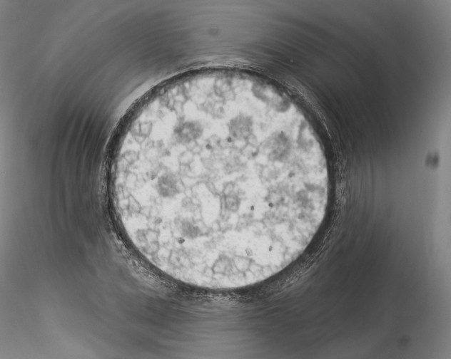 X0000114550975200911301221