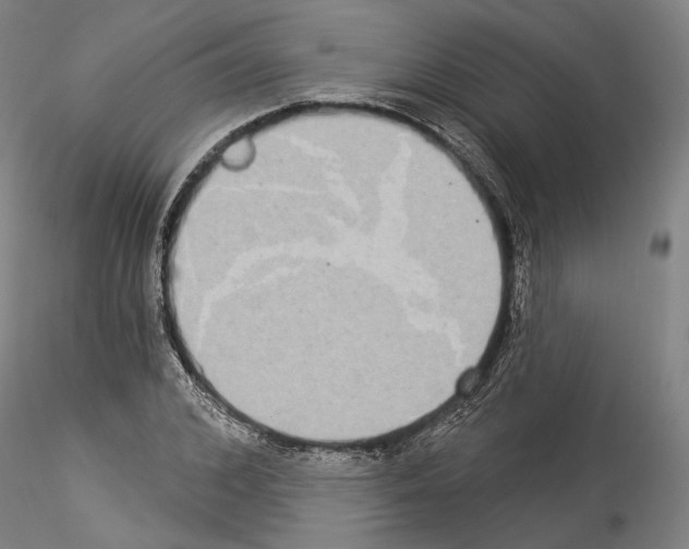 X0000114550976200911301221