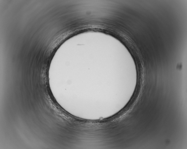 X0000114550977200911301221