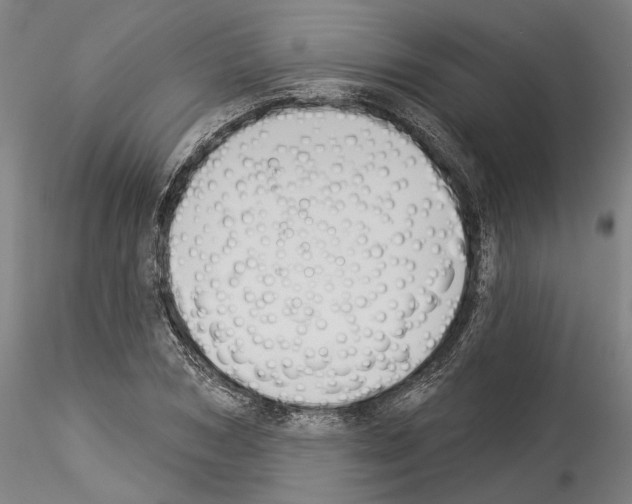 X0000114550978200911301221