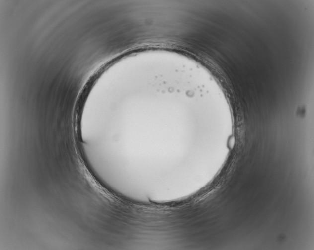 X0000114550981200911301221