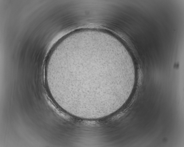 X0000114550982200911301221