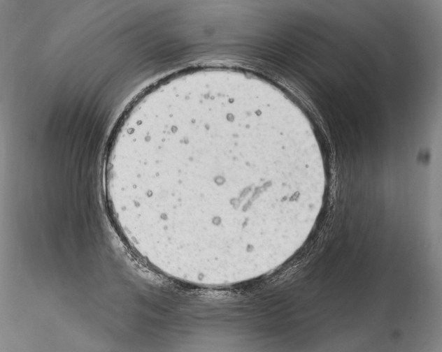 X0000114550984200911301221