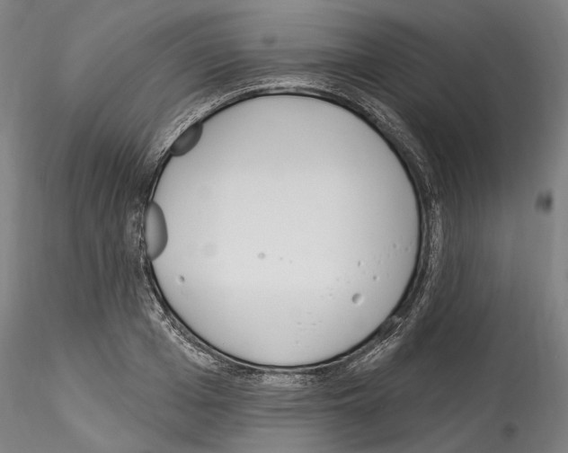 X0000114550985200911301221