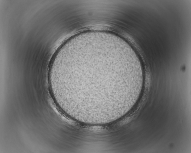 X0000114550986200911301221