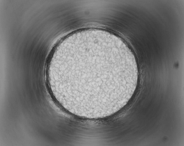 X0000114550987200911301221
