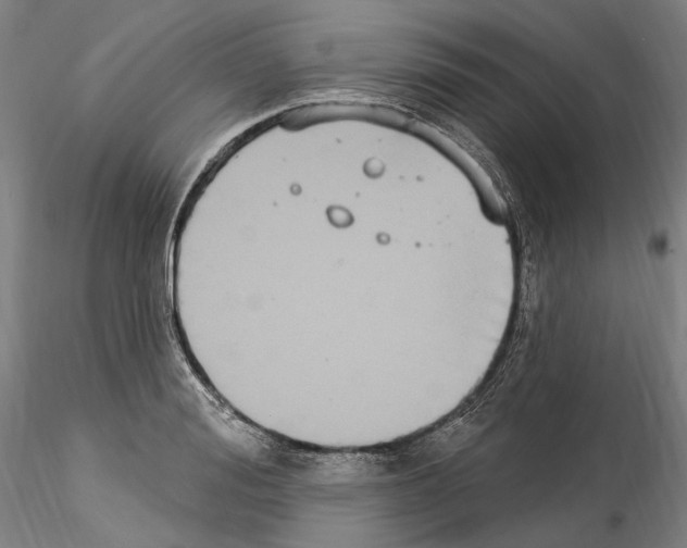 X0000114550988200911301221