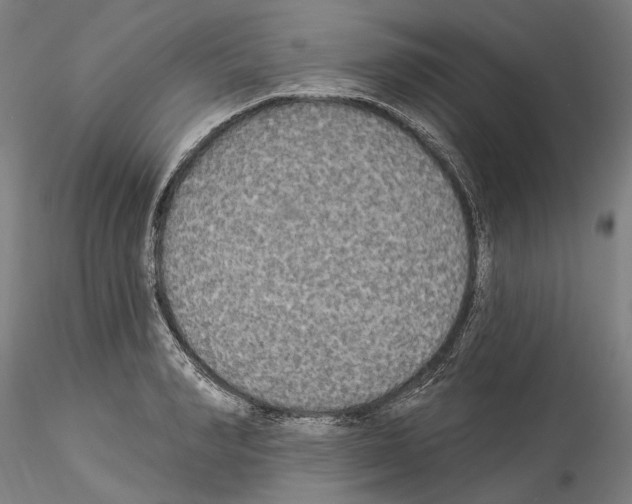 X0000114550990200911301221