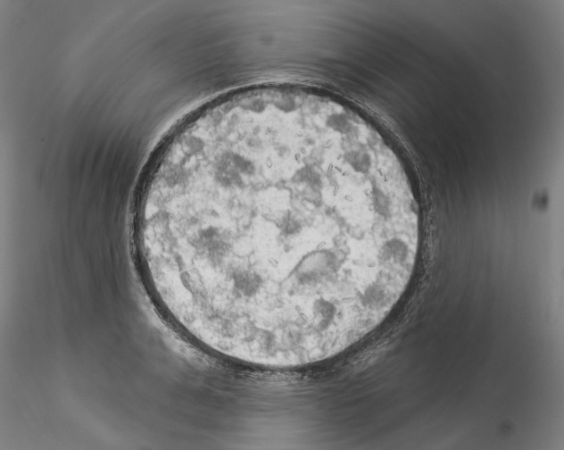X0000114550991200911301220