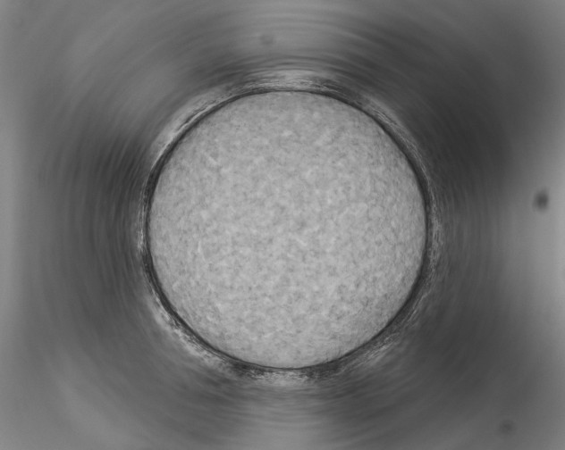 X0000114550994200911301220