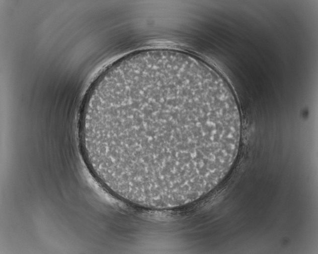 X0000114550995200911301220