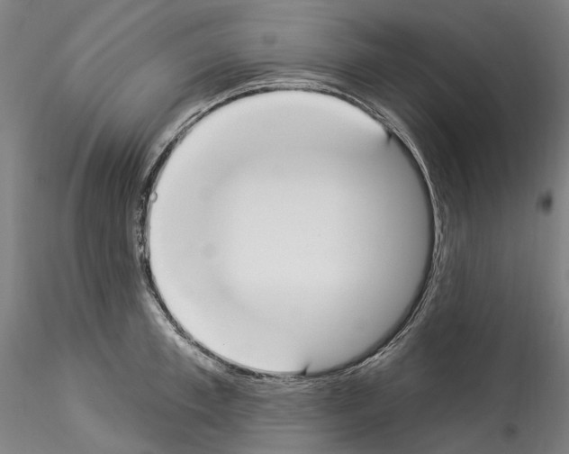 X0000114550997200911301220