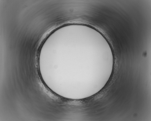 X0000114550998200911301220