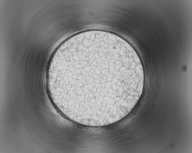 X0000114550999200911301220