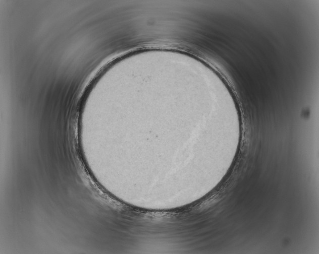 X0000114551000200911301220