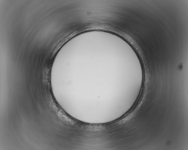 X0000114551001200911301220