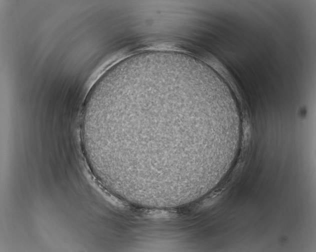X0000114551002200911301220