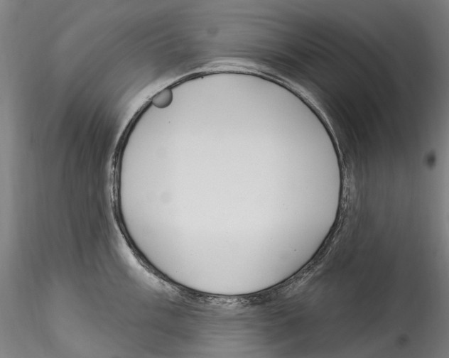 X0000114551003200911301220