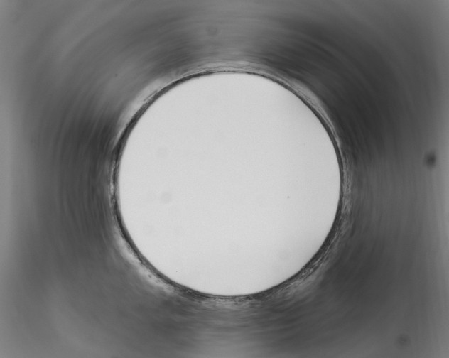 X0000114551005200911301220