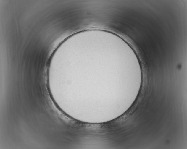X0000114551006200911301220