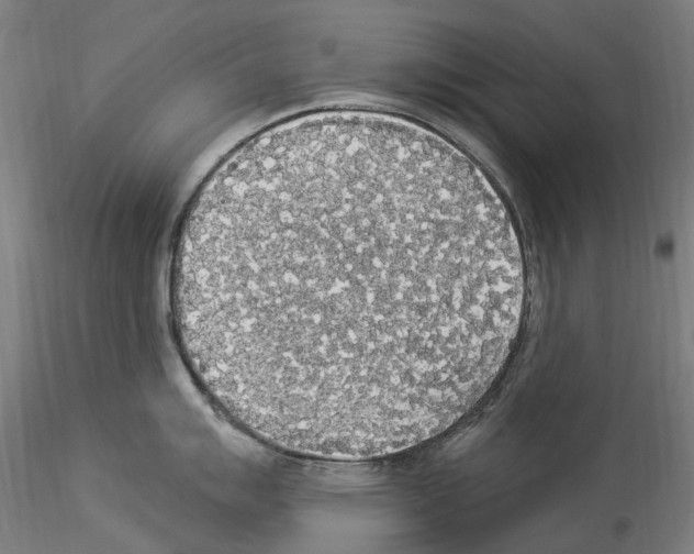 X0000114551007200911301220