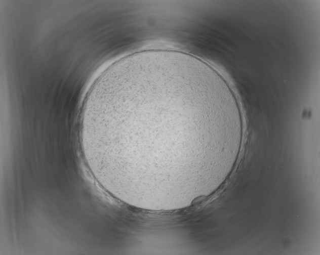 X0000114551008200911301220