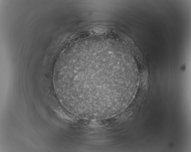 X0000114551009200911301220