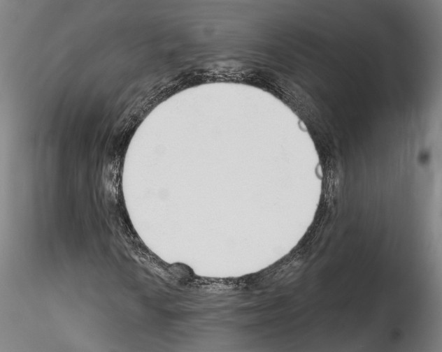 X0000114551010200911301220