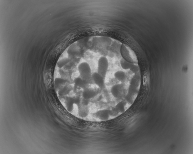 X0000114551011200911301220