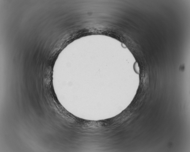 X0000114551012200911301220