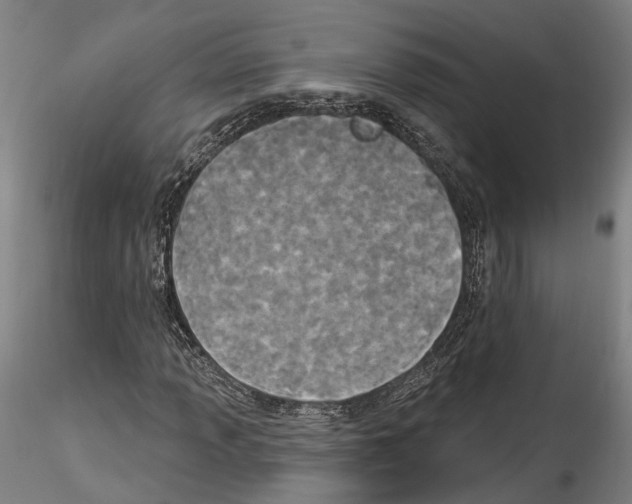X0000114551013200911301220