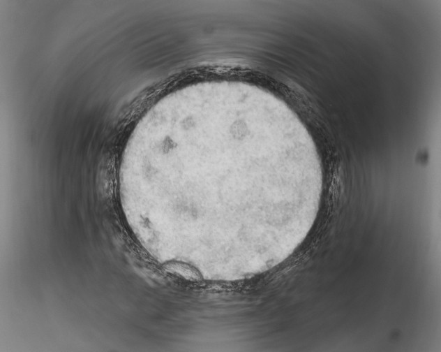 X0000114551014200911301220