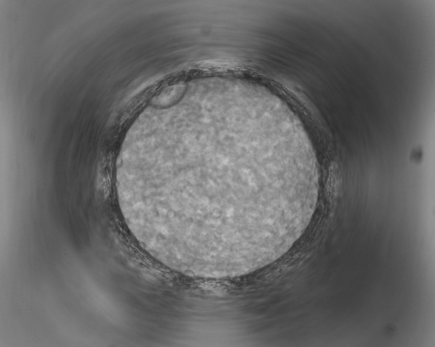 X0000114551015200911301220