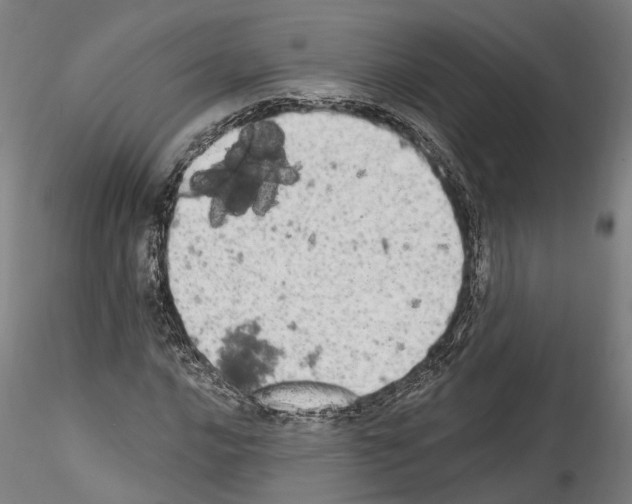 X0000114551016200911301220