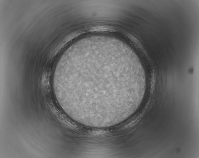 X0000114551017200911301220