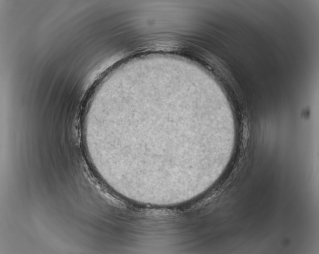 X0000114551018200911301220
