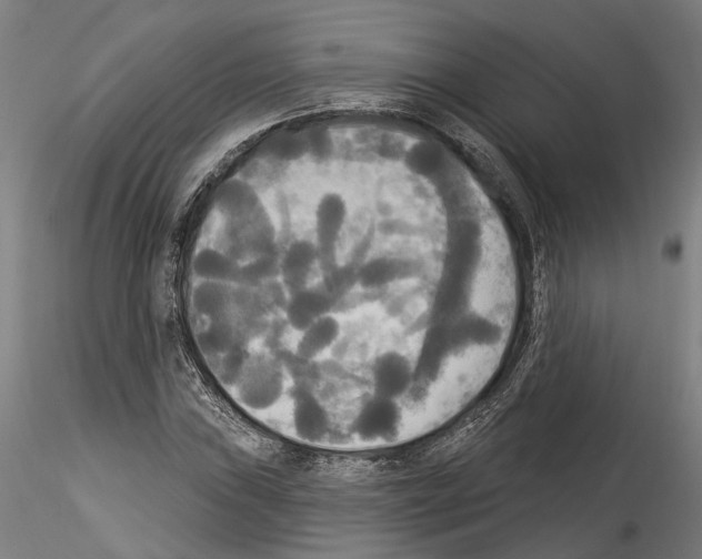 X0000114551019200911301220