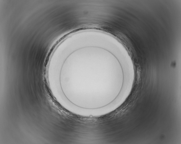 X0000114551020200911301220