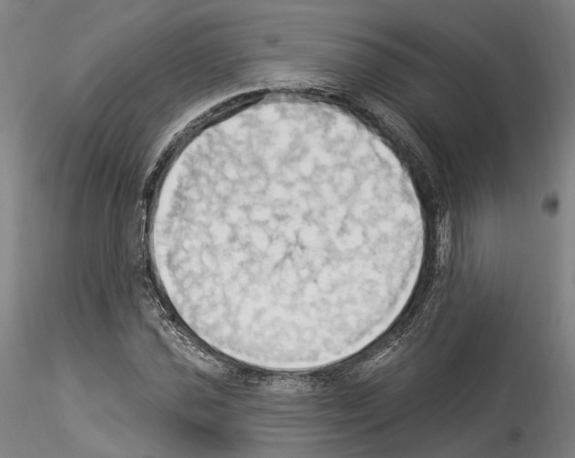 X0000114551021200911301220