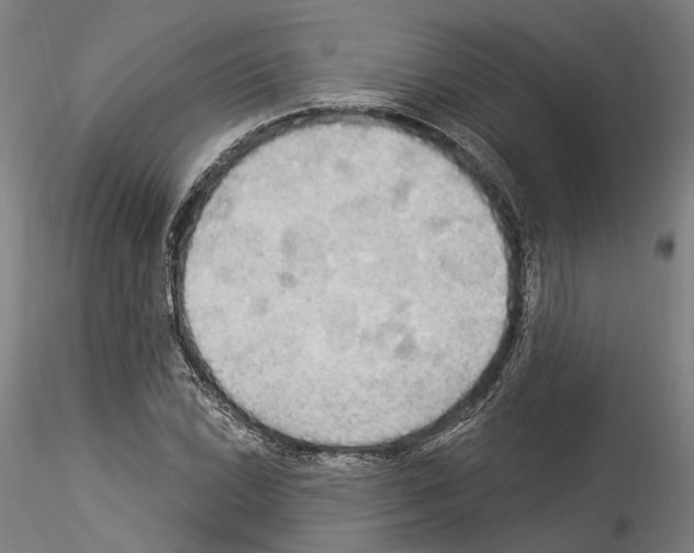 X0000114551022200911301220