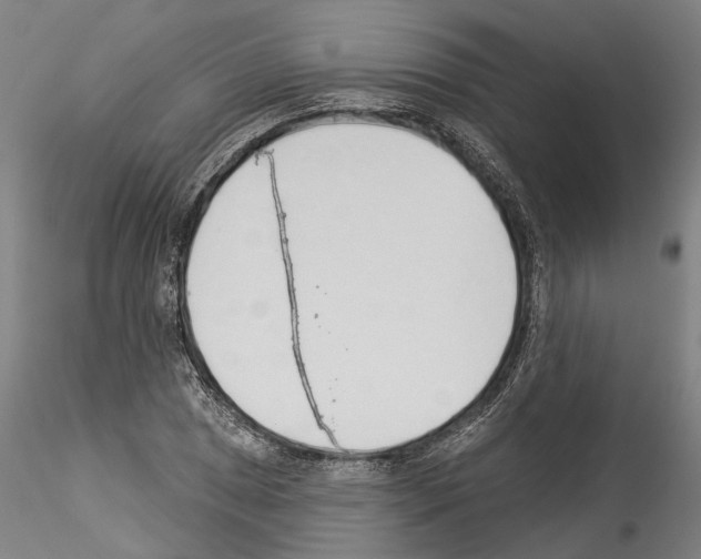 X0000114551025200911301220