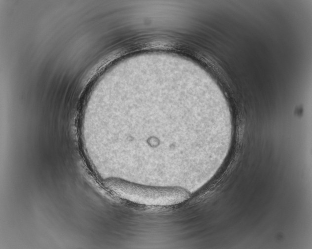 X0000114551026200911301220