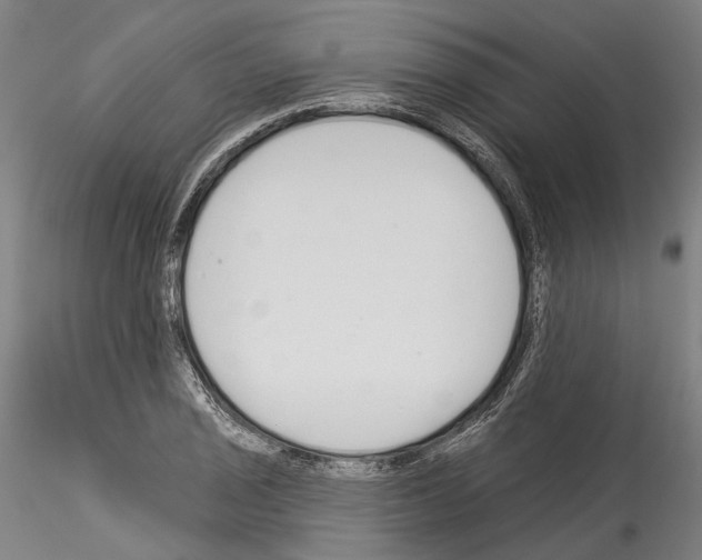 X0000114551029200911301220